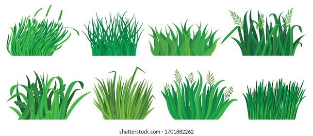 Icono de conjunto de dibujos animados de césped verde. Icono de conjunto de dibujos aislados. Ilustración vectorial hierba verde sobre fondo blanco.