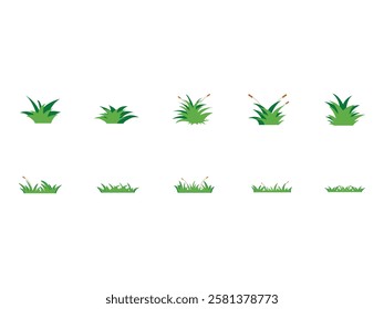 Green Grass Vector Element Set