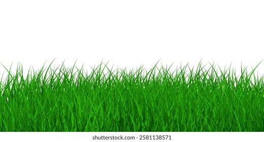 Green grass vector. EPS 10