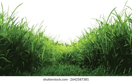Green grass vector, fresh cut grass, natural isolated, healthy grass texture, spring green, outdoor nature, plant illustration, eco friendly design, summer, nature leaf