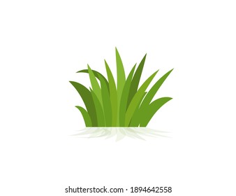 Green grass. Vector icon. web version.