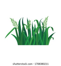 Icono vectorial de hierba verde.Icono vectorial de caricatura aislado en la hierba verde de fondo blanco.