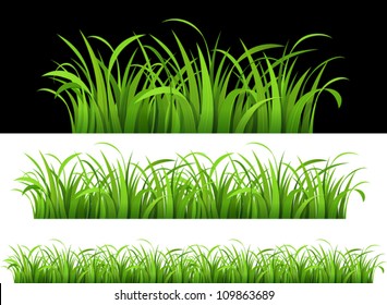 Green grass. Vector illustration