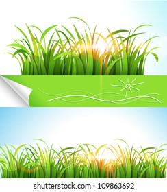 Green grass. Vector illustration