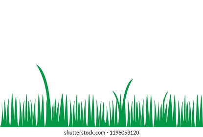 
green grass vector illustration