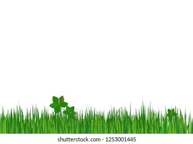 Green grass.  Vector illustration.