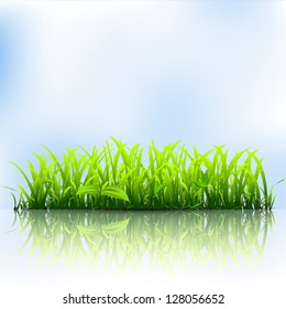 Green grass. Vector illustration