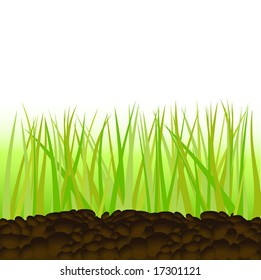 Green grass vector illustration.