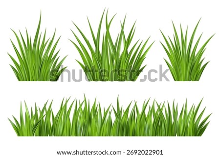 Green grass vector illustration. Field plant background. Border with realistic garden plants isolated on white background. Long leaves fresh foliage. Farm land vegetation