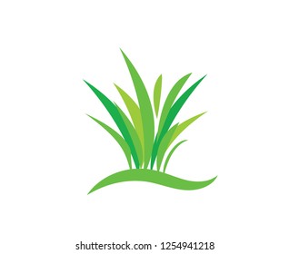 Green grass. Vector illustration. Icon. Park and nature.