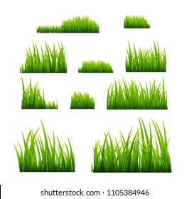 Green grass vector illustration isolated. Summer natural grassy green plant for garden. Grass template.