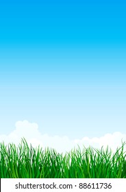 Green grass. Vector illustration with  green grass  on background of blue sky