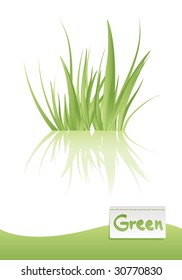 green grass vector illustration, related with ecology and green world concept