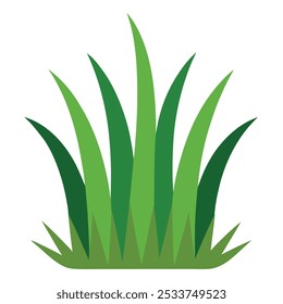 Green Grass Vector Illustration - Vibrant Nature Art 