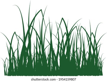 Green grass vector image as a clipart for logo design