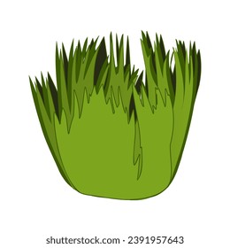 Green grass vector isolated illustration. Bushes of green grass, garden plants. Flat cartoon element for design natural and organic.