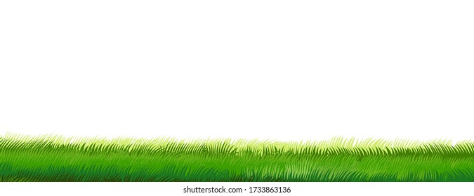 Green grass. Vector isolated on white background. Horizontal composition. Bottom background frame. Summer, spring. Young juicy dense meadow. Smooth well-groomed lawn.