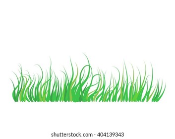 Green grass vector. Vector grass isolated on white background. Grass vector element