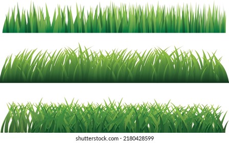 Green Grass. Vector outline Illustration. EPS file
