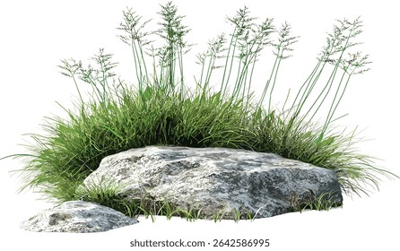 Green grass, vector rocks, nature clipart, transparent, natural landscape, outdoor scene, wild nature illustration, grass scenery, rocks and nature, landscape design