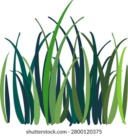 green grass, vegetable border for decoration