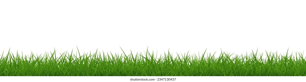 Green grass very wide repeat border isolated. Vector