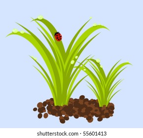 Green grass with water droplets and ladybug