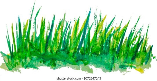 green grass watercolour background isolated on white background, eps10 vector illustration