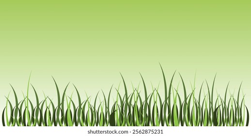 Green grass, weed plants for lawn, spring or summer field, garden or meadow. Borders and tufts of fresh grass blades isolated on white background, vector realistic set