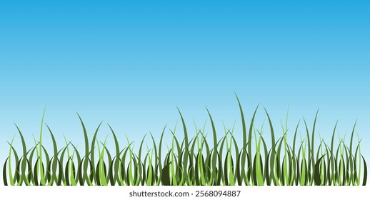 Green grass, weed plants for lawn, spring or summer field, garden or meadow. Borders and tufts of fresh grass blades isolated on white background, vector realistic set