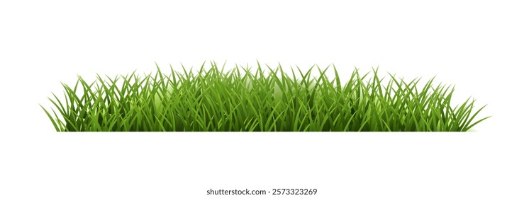 Green Grass And White Background With Gradient Mesh, Vector Illustration