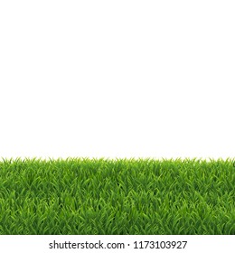 Green Grass White Background, Vector Illustration