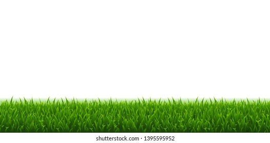 Green Grass And White Background, Vector Illustration
