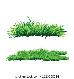 green grass, white background, vector.