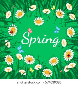 Green grass with white chamomiles on green. Floral nature background. Vector flower with butterfly and ladybird