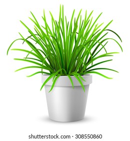 Green grass in white flowerpot, isolated on white background. Vector illustration.