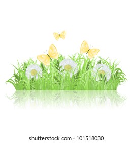 Green grass with white flowers and butterflies