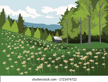 Green grass with white flowers trees and cabin for background and illustration