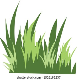 Green Grass , White isolated - Vector