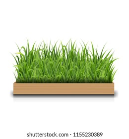 Green Grass With Wood With Gradient Mesh, Vector Illustration