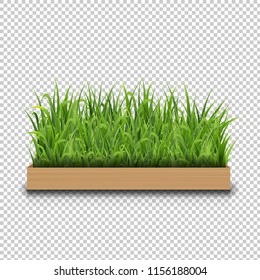 Green Grass With Wood Transparent Background With Gradient Mesh, Vector Illustration