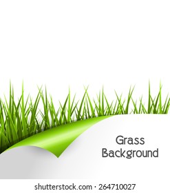 Green grass with wrapped paper sheet isolated on white background. Floral eco nature background