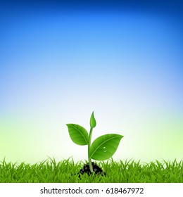 Green Grass With Young Plant With Gradient Mesh, Vector Illustration