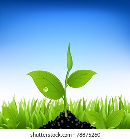 Green Grass And Young Plant, Vector Illustration