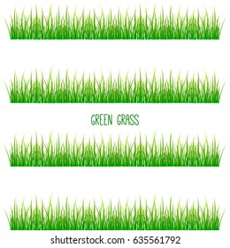 Green Grass For Your Design. Vector