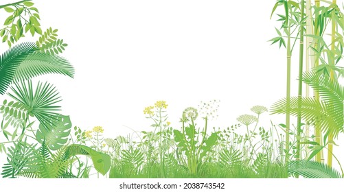 green grasses, plants and bamboo isolated on white, illustration