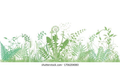 green grasses, plants and herbs
