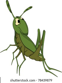 Green grasshopper. Cartoon