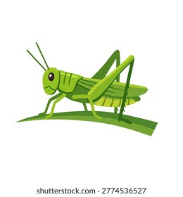Green grasshopper cartoon vector illustration isolated on white background. Jumping insect character perfect for nature theme, education, wildlife design and decorative use