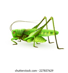 Green grasshopper centipede insect realistic on white background vector illustration